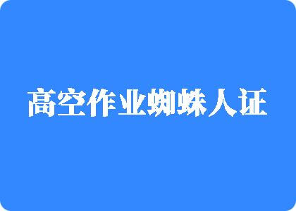 女生被操小逼网站高空作业蜘蛛人证